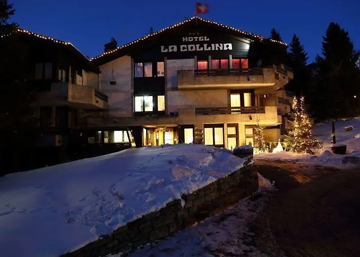 Hotel La Collina 3*