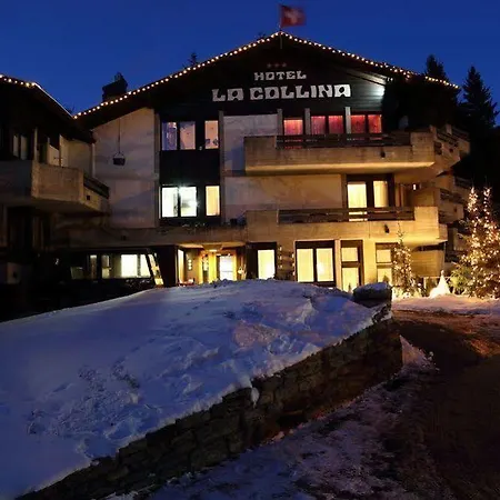 酒店 La Collina 3*